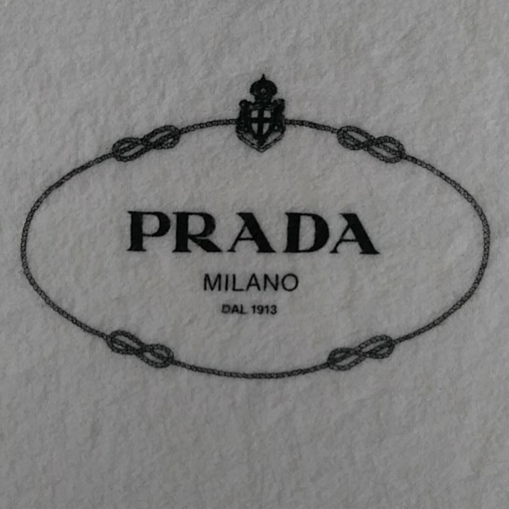 Prada dust cover bag 19x 15 in